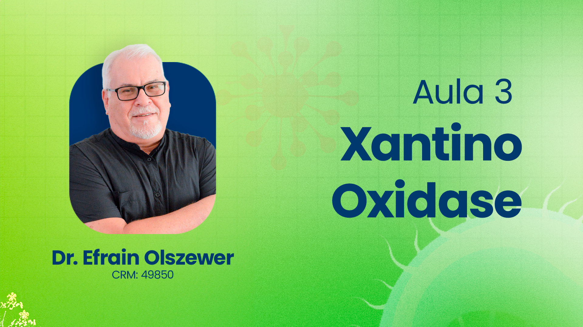 Aula 3 - Xantino Oxidase