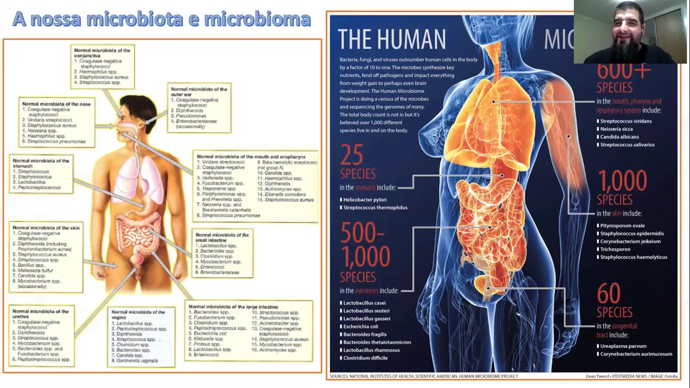 Câncer, microbiota e hábito alimentar