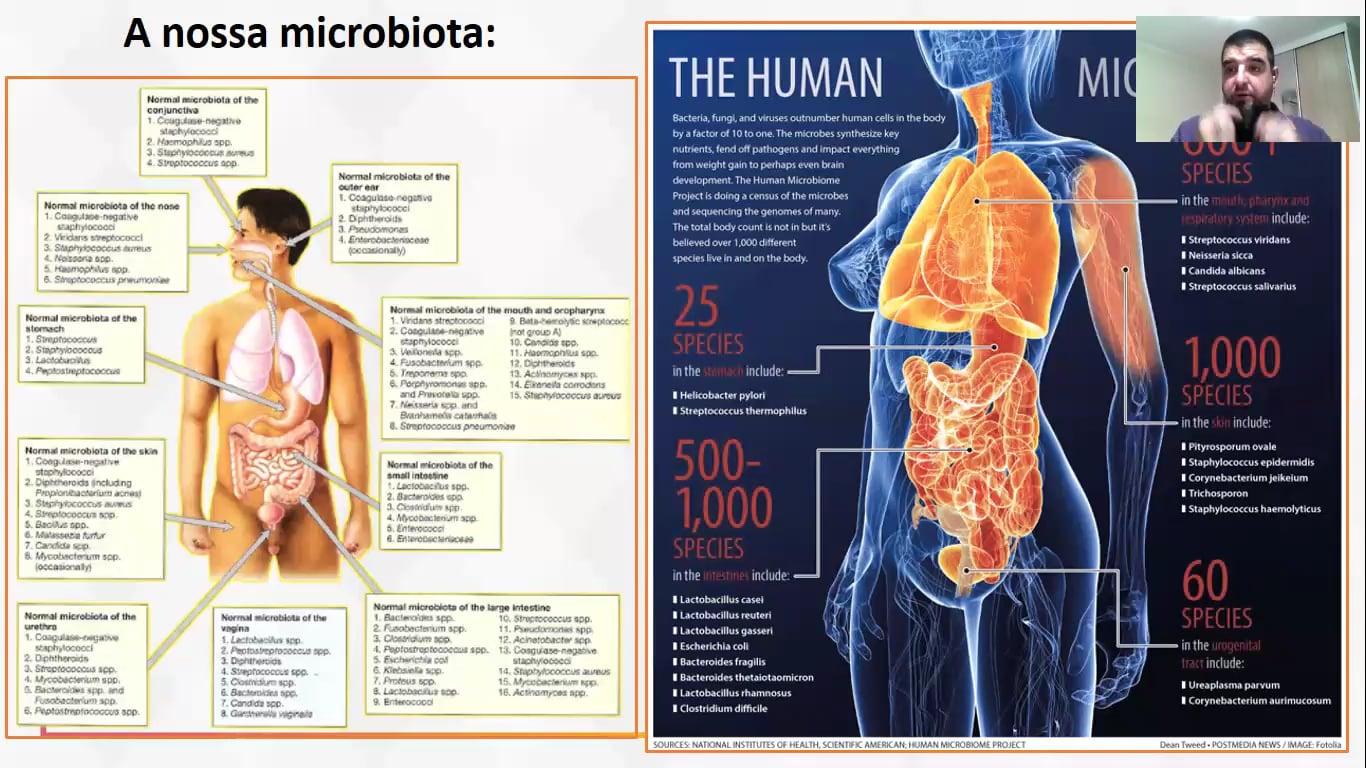 Cólicas e microbiota: Verdades e fake News