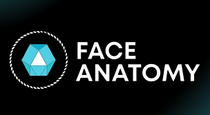 Face Anatomy